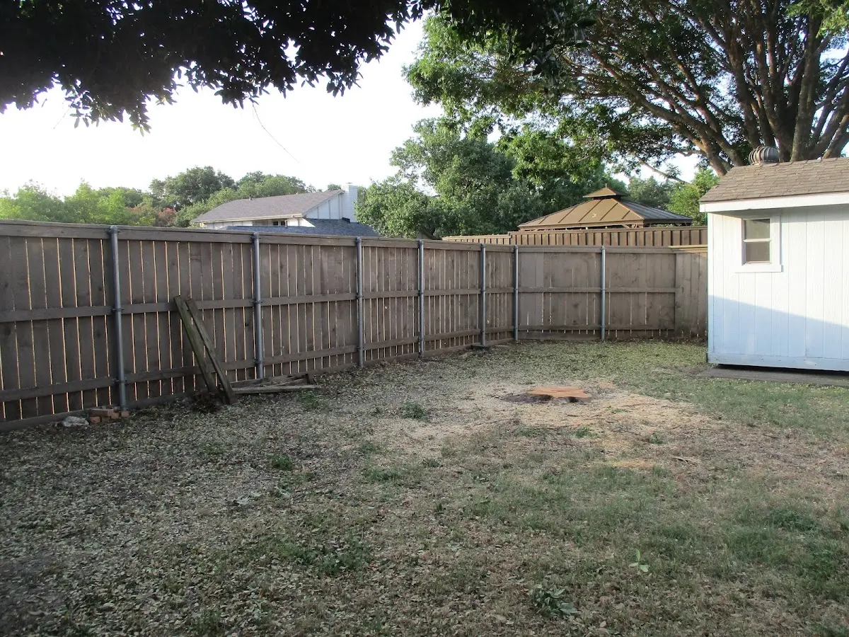 Cleared yard after professional tree removal in Paul Smiths