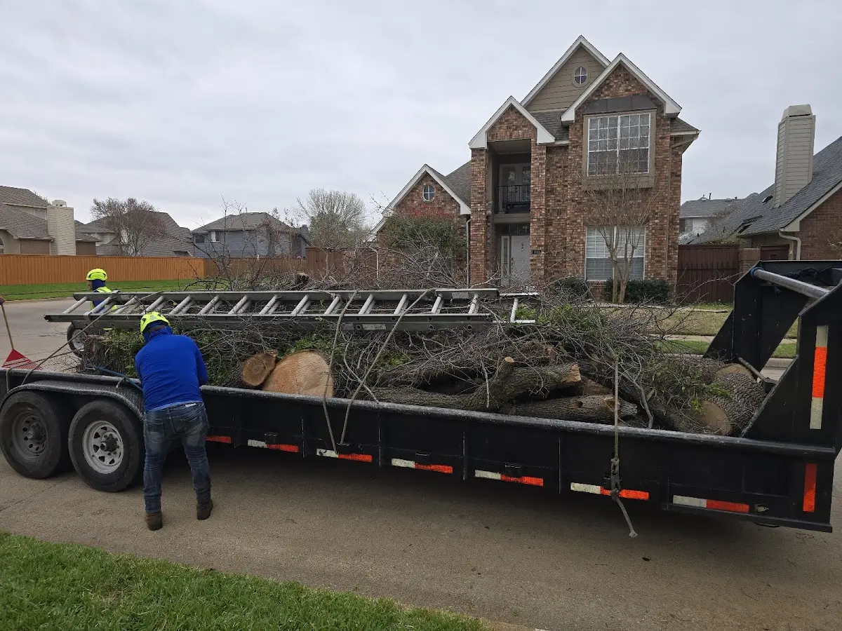 Expert Tree Pest Control with proper safety equipment in Paul Smiths